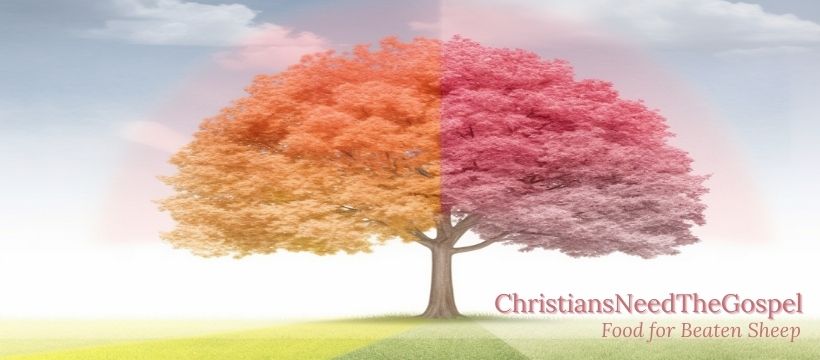 Christians Need The Gospel - Food for Beaten Sheep